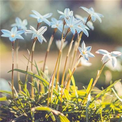 可以试玩cq9电子的网页game