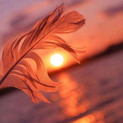 BB贝博平台登录app下载手机版