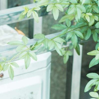 可以试玩cq9电子的网页game