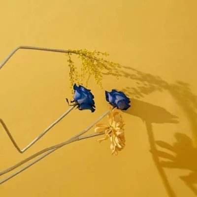 乐鱼全站官网在线登录截图